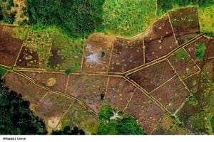 10 logros en la restitución de tierras en Colombia para 2025
