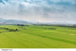 13 municipios: impulsan el desarrollo rural en el norte del Cauca con inversión de 5.851 millones