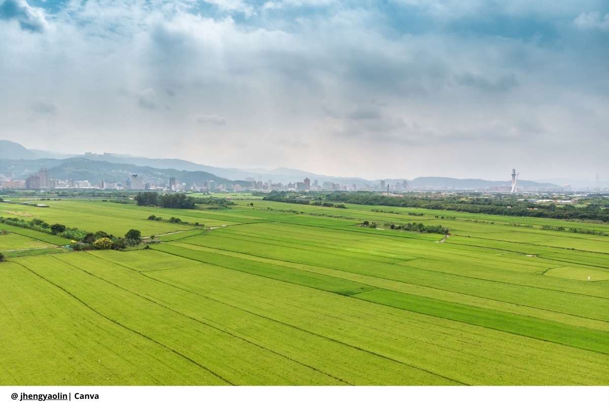 13 municipios: impulsan el desarrollo rural en el norte del Cauca con inversión de 5.851 millones
