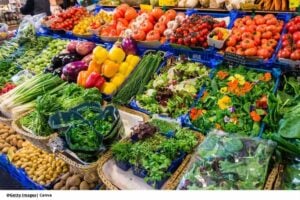 Extraordinario encuentro: 18 países se reúnen en Cartagena para fortalecer los mercados de alimentos
