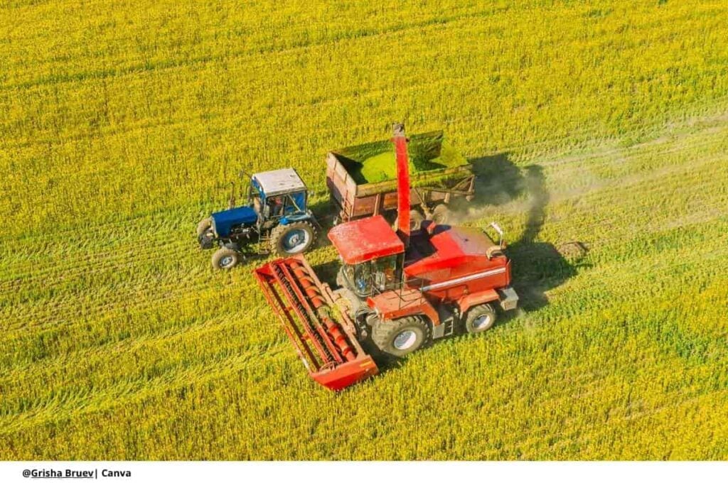apoyo agropecuario cauca