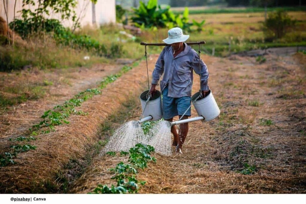 Imagen de un agricultor colombiano en su finca