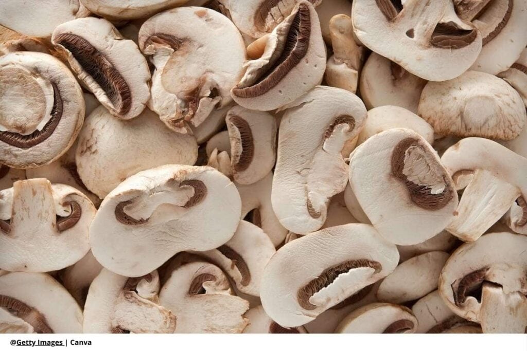 Hígado de res como fuente natural de vitamina B5