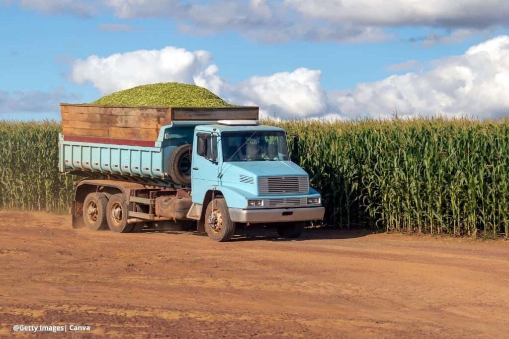 Trabajo campo Colombia