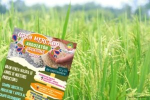 crisis arrocera, industria molinera, Dignidad Arrocera, Arrozatón por crisis arrocera, Más Colombia