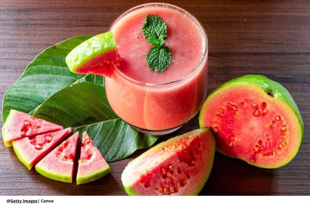 El potencial de la industria de la guayaba en Colombia 3 Cultivo de guayaba Colombia