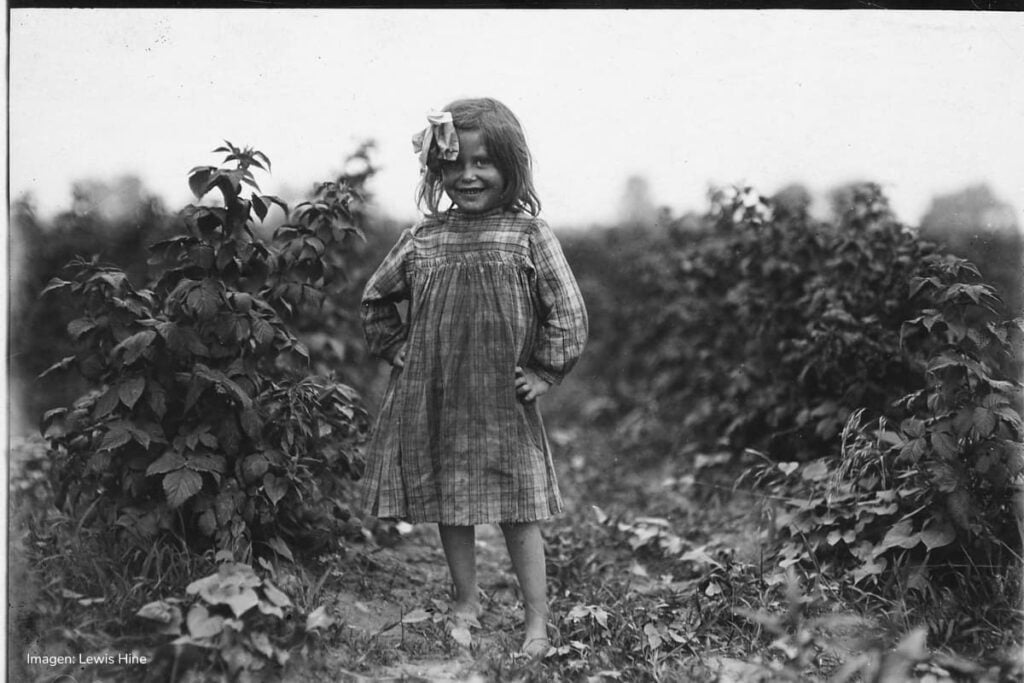 trabajo infantil, Laura Petty, una niña de 6 años que recogía bayas en la granja Jenkins. Recibía 2 centavos por caja. Rock Creek, Maryland, junio de 1909, Más Colombia