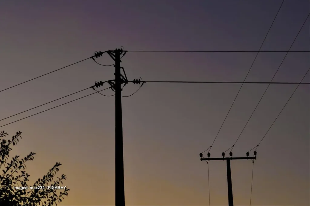 Energía cara y competitividad en riesgo