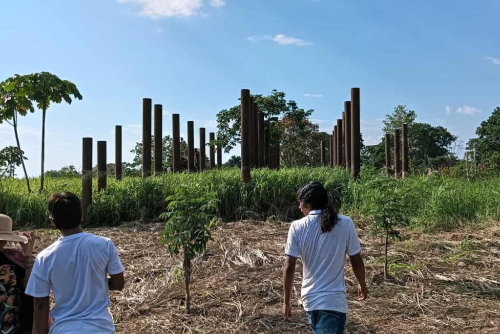 El puente de Leticia, en la isla de La Fantasía: ¿otro elefante blanco? 3 puente de Leticia, isla de La Fantasía, Problemas y mala gestión en el emmbarcadero, isla de La Fantasía, Más COlombia