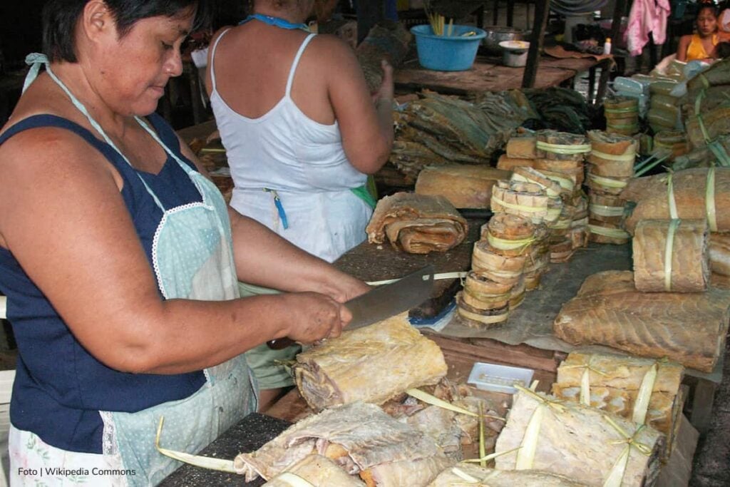 pez pirarucú, pez gigante del Amazonas, Venta de pez gigante del Amazonas, Más Colombia