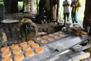 panela colombiana, Quala, Panelada, comercialización de productos que se presentan como panela, Más Colombia