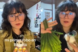 estafa en Bogotá, estafa en Bogotá a una estudiante con supuesto bonsái, Más Colombia