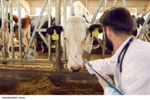 3 claves de la cooperación Colombia-Cuba para proteger el campo