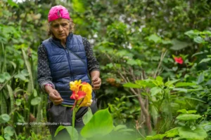 7 datos alucinantes de Colombia que no creerás que son reales 16 7 datos alucinantes de Colombia que no creerás que son reales datos curiosos de Colombia