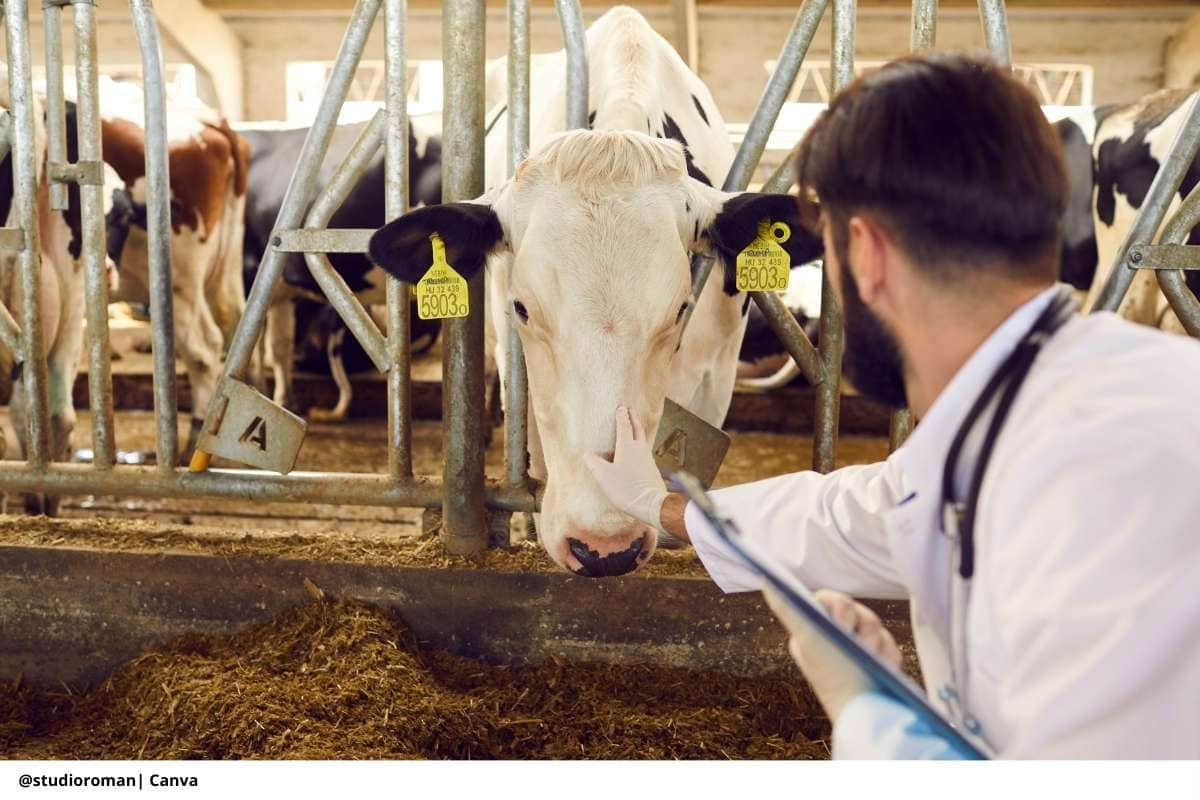 3 claves de la cooperación Colombia-Cuba para proteger el campo
