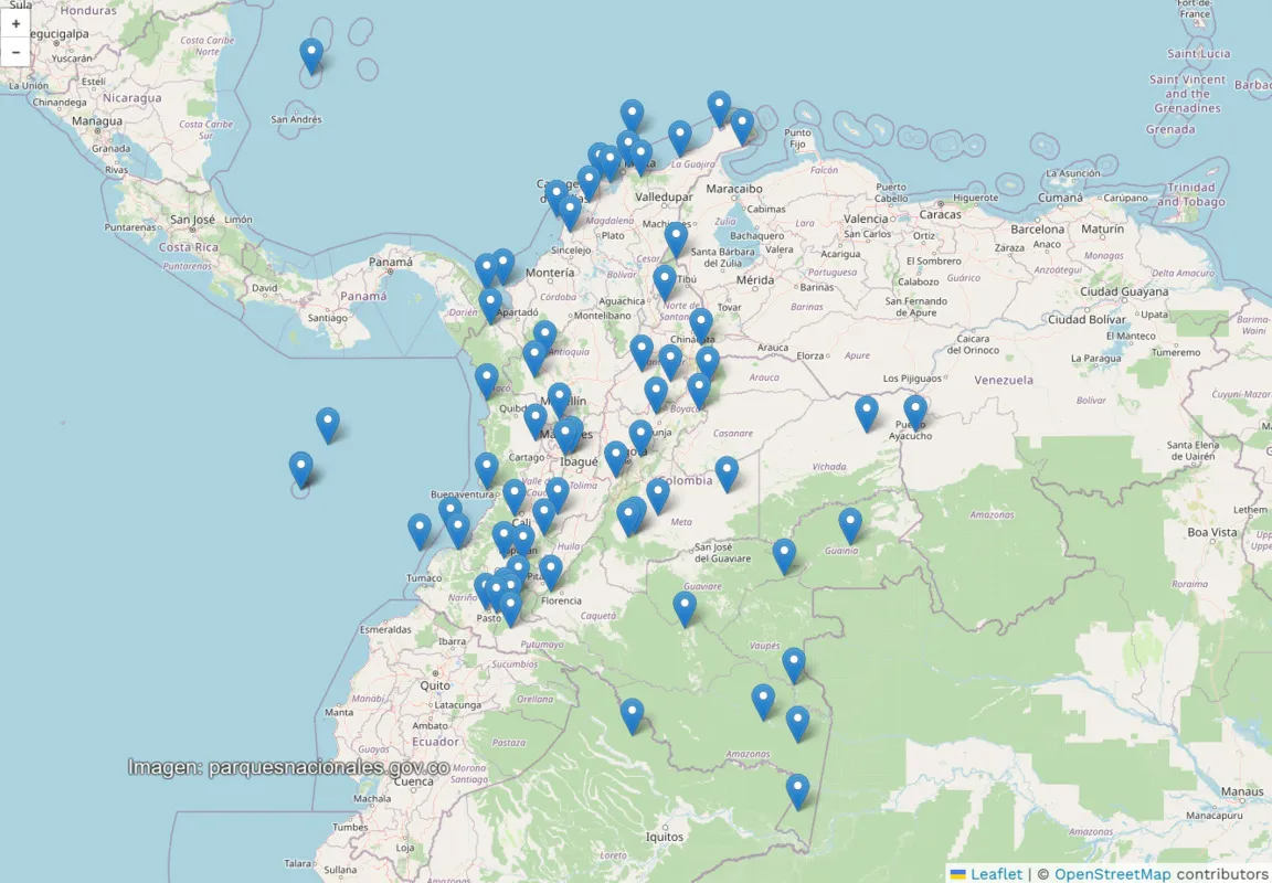 avistamiento de aves en Colombia avistamiento de aves en Colombia