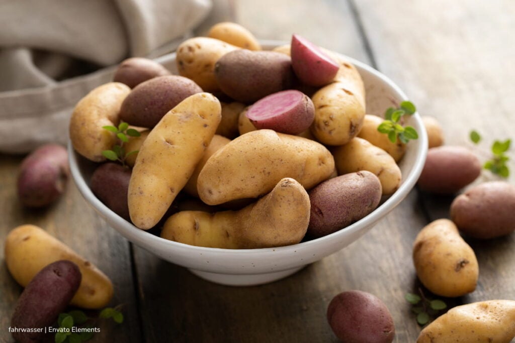 papa criolla, Análisis en más de 100 tipos genéticos de papa criolla, Más Colombia