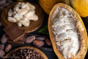 Así será Chocoshow 2025, el evento que derrite a los amantes del cacao y el chocolate 2 Chocoshow 2025, Chocoshow 2025 se vivirá en Corferias, Más Colombia