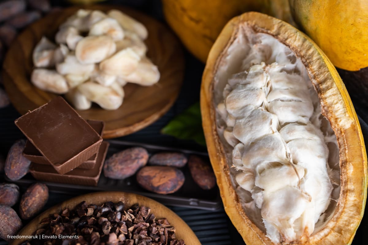 Así será Chocoshow 2025, el evento que derrite a los amantes del cacao y el chocolate 1 Chocoshow 2025, Chocoshow 2025 se vivirá en Corferias, Más Colombia