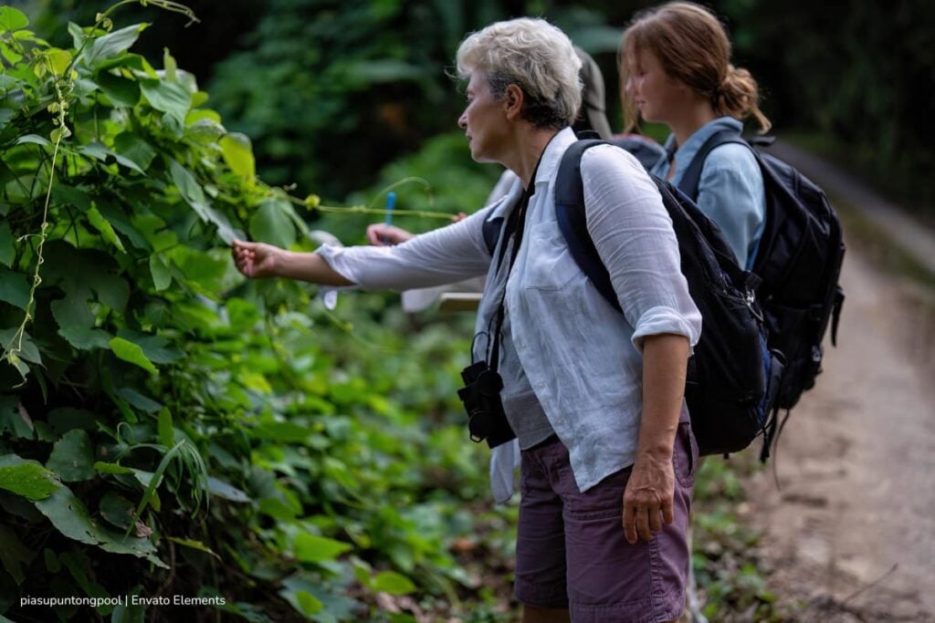 antibióticos naturales, Científicas logran nuevos hallazgos para crear antibióticos naturales, Más Colombia