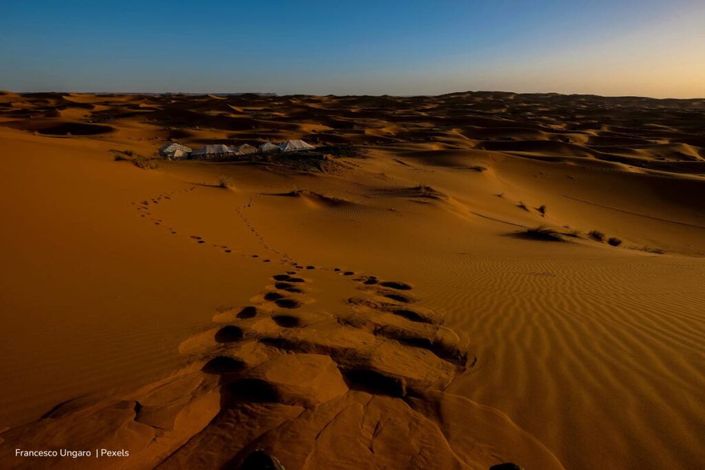 La selva amazónica y el océano Atlántico dependen del Sahara: así es como el polvo del desierto hace magia a cientos de kilómetros 4 selva amazónica, océano Atlántico, polvo del Sahara, Efectos de lo que ocurre en el Sahara, Más Colombia