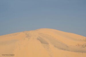 selva amazónica, océano Atlántico, polvo del Sahara, Polvo del Sahara benéfico para el resto del ecosistema, Más Colombia