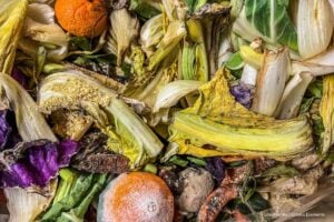 Cada año, solamente en Bogotá, se desperdicia 1,2 millones de toneladas de comida: el rostro urbano del desperdicio de alimentos 17 desperdicio de alimentos, desperdicio de alimentos en Colombia, Más Colombia