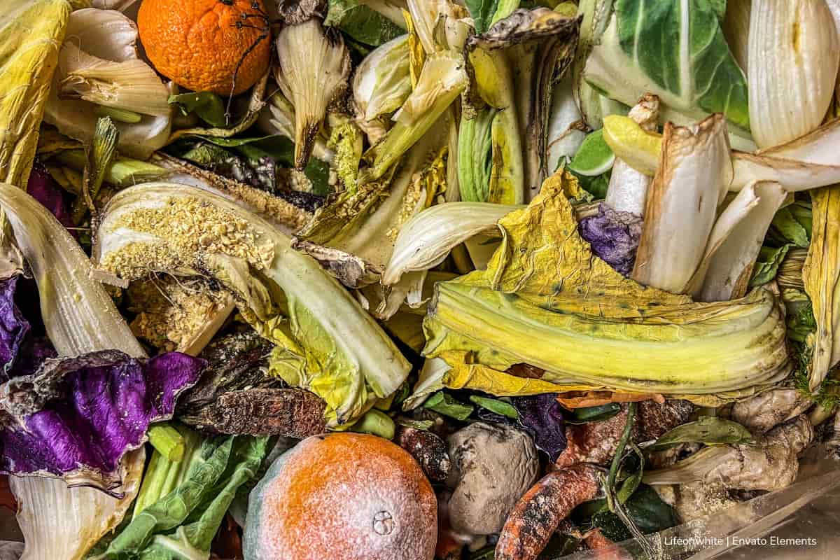 Cada año, solamente en Bogotá, se desperdicia 1,2 millones de toneladas de comida: el rostro urbano del desperdicio de alimentos 1 desperdicio de alimentos, desperdicio de alimentos en Colombia, Más Colombia