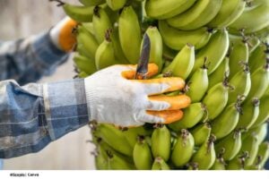 exportaciones Caldas