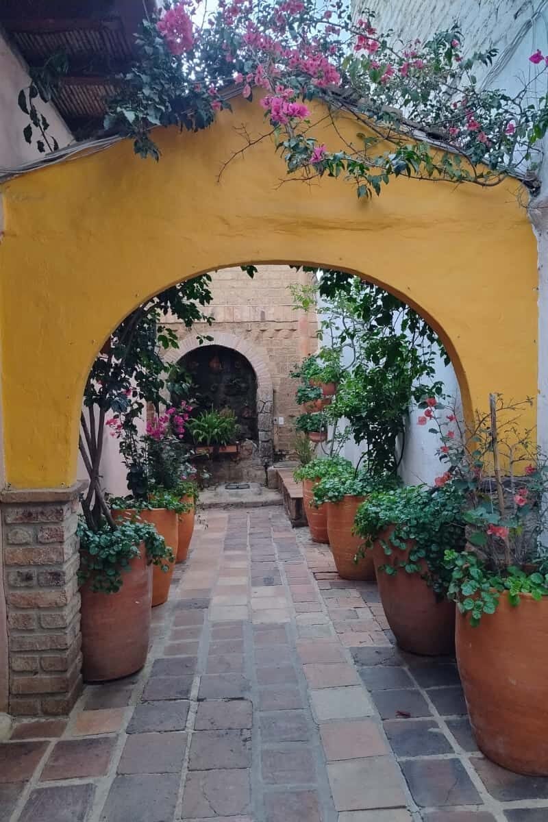 Antonio Ricaurte, el héroe de Villa de Leyva que se inmoló por la Independencia y fue declarado patrono de la Fuerza Aérea Colombiana 3 Antonio Ricaurte, Villa de Leyva, hijo de Esteban Ricaurte Mauris y María Clemencia Lozano Manrique, Más Colombia