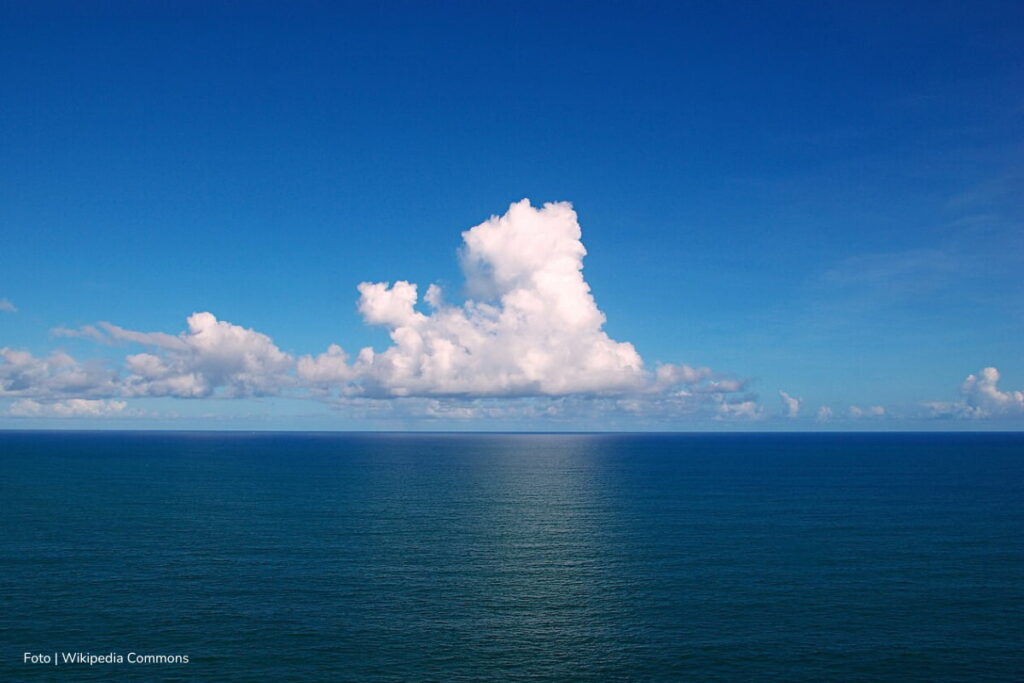 La selva amazónica y el océano Atlántico dependen del Sahara: así es como el polvo del desierto hace magia a cientos de kilómetros 2 selva amazónica, océano Atlántico, polvo del Sahara, océano Atlántico, Más Colombia
