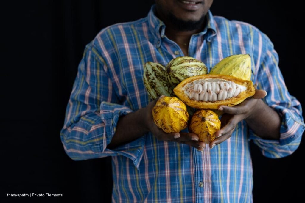 Así será Chocoshow 2025, el evento que derrite a los amantes del cacao y el chocolate 4 Chocoshow 2025, recorrer distintos espacios que muestran el proceso completo del cacao, Más Colombia