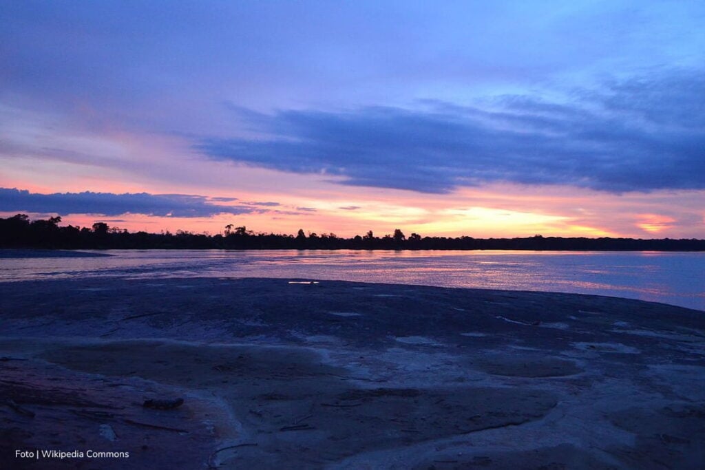 Cultivos de maíz en Cumaribo podrán vigilarse desde el espacio gracias a tecnología satelital creada por colombianos 2 cultivos de maíz, río Vichada por su paso por Cumaribo, Más Colombia