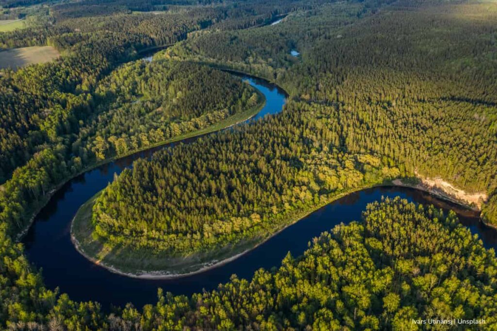 La selva amazónica y el océano Atlántico dependen del Sahara: así es como el polvo del desierto hace magia a cientos de kilómetros 3 selva amazónica, océano Atlántico, polvo del Sahara, selva amazónica, Más Colombia
