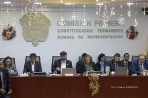 Debate de proyecto de ley Mesada 14