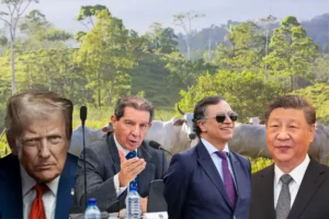 exportaciones de carne colombiana China. Montaje gráfico que combina líderes políticos internacionales con ganado bovino, en referencia a comercio y geopolítica agropecuaria.