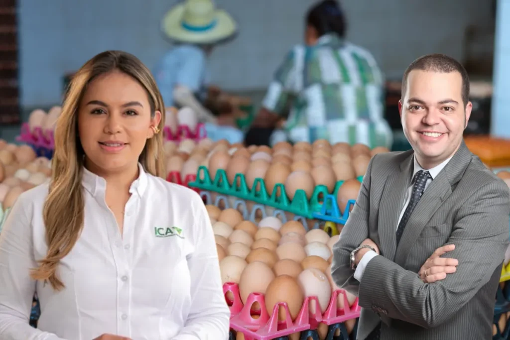 huevo colombiano en Estados Unidos. Dos funcionarios del ICA y un analista del sector avícola posan frente a bandejas llenas de huevos en un centro de clasificación.