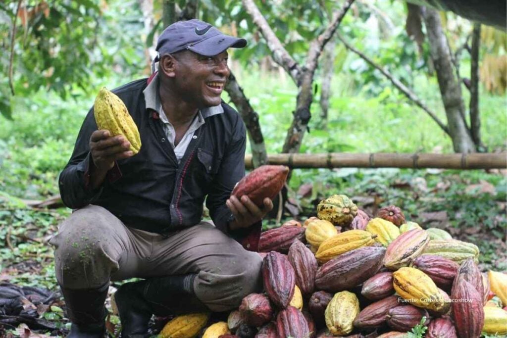 Hombre agricultor sonriente sostiene cacao