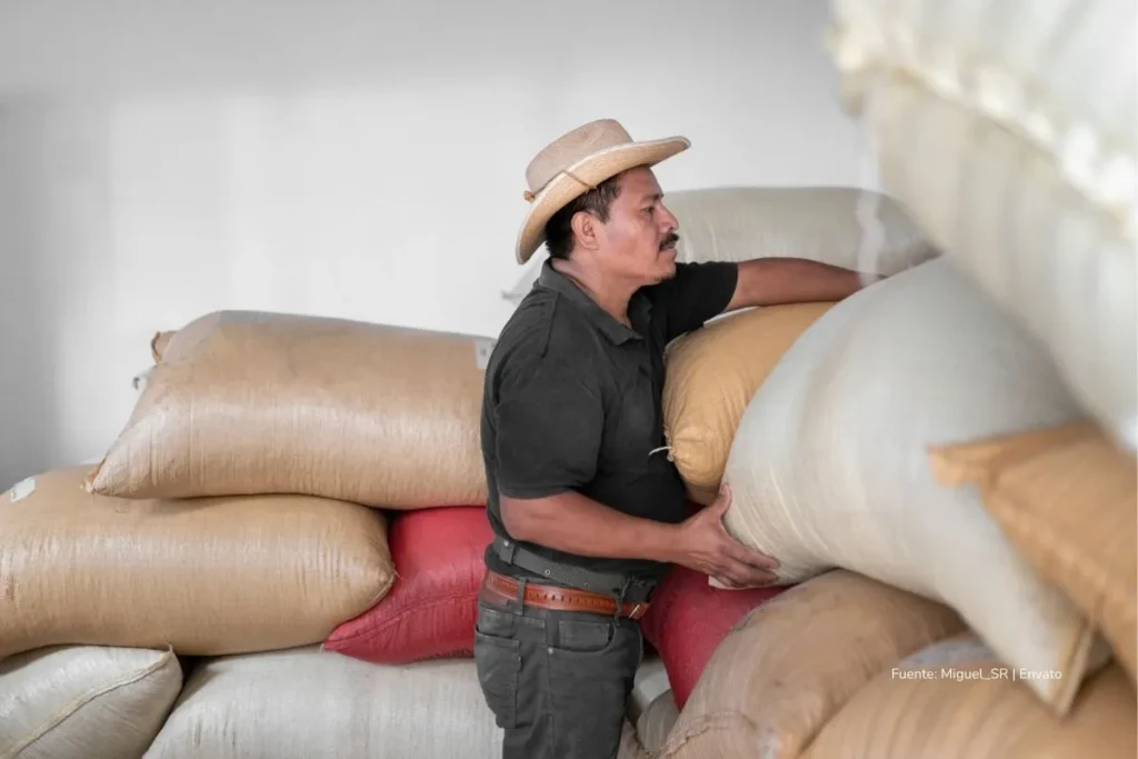 Exportaciones de Colombia 2025: transición energética frena el petróleo y aleja la meta de USD $50.000 millones 3 Hombre campesino con sombrero acomodando grandes sacos de granos en una bodega, mientras sostiene uno de ellos con ambas manos.
