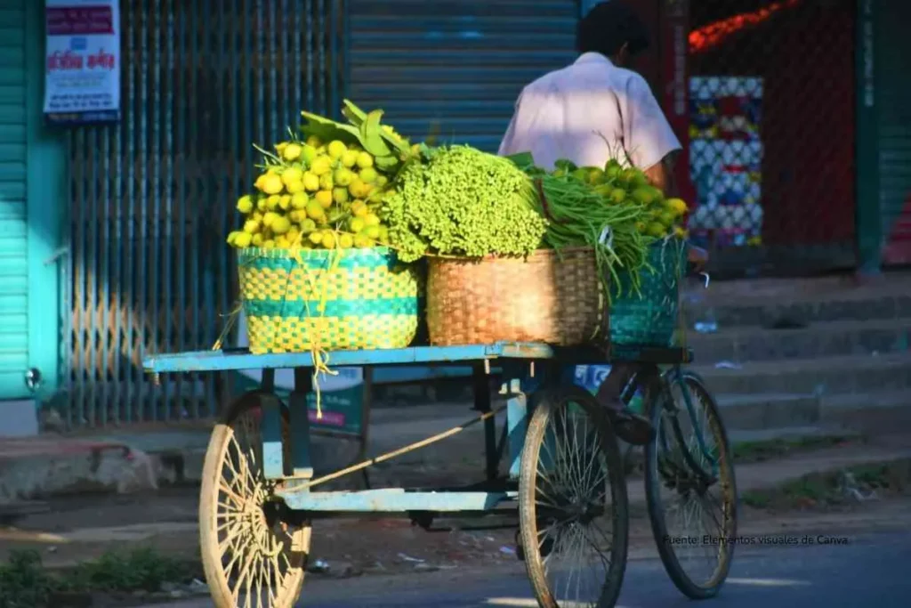 Emergencia económica para recaudar $16 billones en 2026 tras el fracaso de la tributaria de Petro 3 Trabajador ambulante de espaldas con la carreta de flores llevándola a cuenta.
