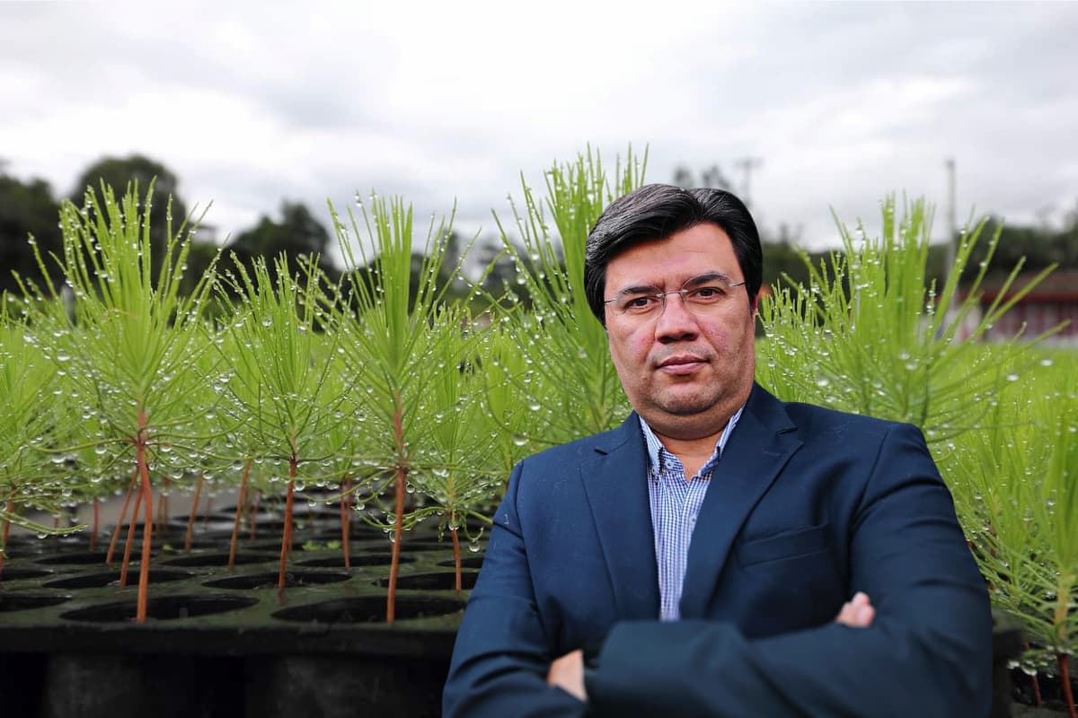 Juan Miguel Vásquez, director ejecutivo de FEDEMADERAS