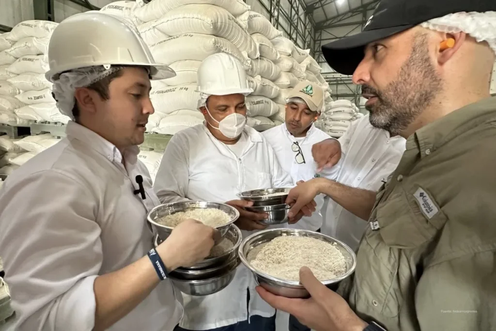 Crisis del arroz en Colombia: arroceros alertan por importaciones, contrabando e inacción del Gobierno 3 Trabajadores revisan arroz en una planta de almacenamiento con sacos apilados al fondo