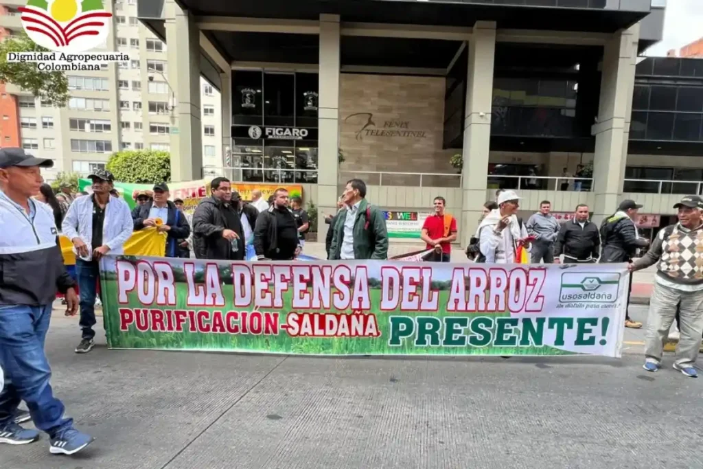 Crisis del arroz en Colombia: arroceros alertan por importaciones, contrabando e inacción del Gobierno 4 Manifestantes sostienen una pancarta que dice “Por la defensa del arroz” durante una movilización en la ciudad
