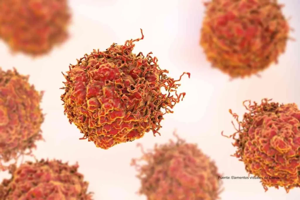 La eliminación del cáncer VPH es posible y Australia lo demostró 3 Virus del papiloma humano