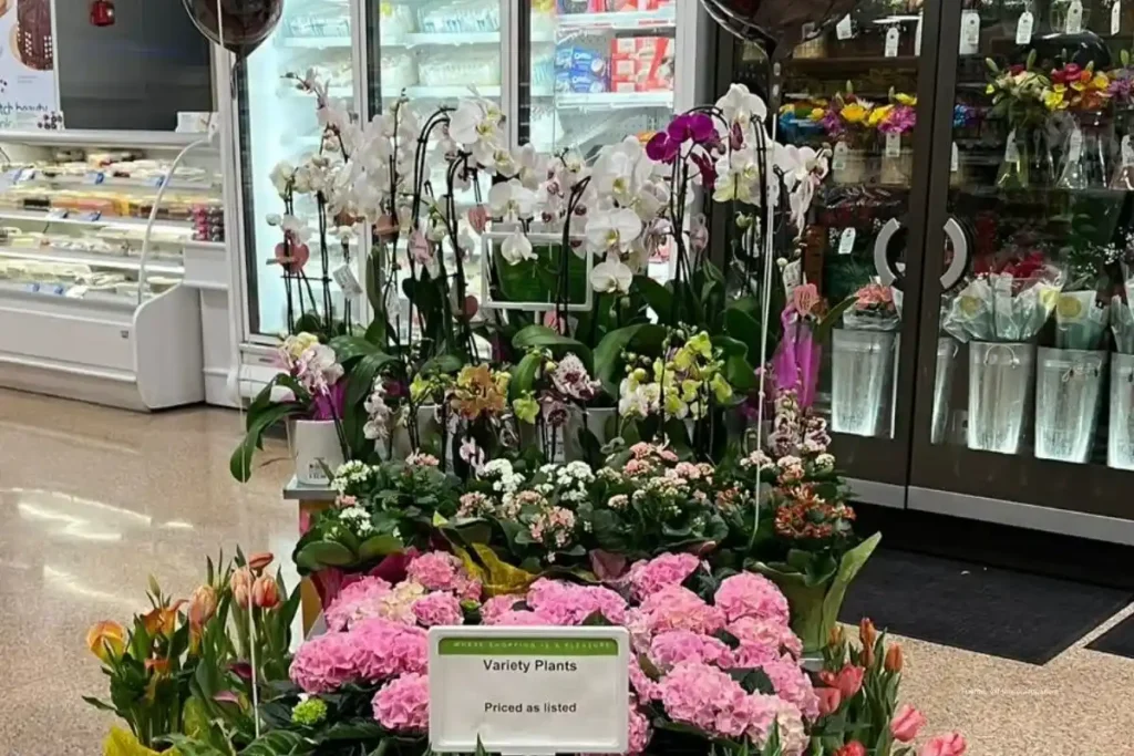 Exportaciones de flores de Colombia: “Es una carrera contra el tiempo y cualquier falla se paga caro”, advierte Manuela Aduanera 2 Exportaciones de flores de Colombia exhibidas en un mercado internacional, con orquídeas y arreglos florales listos para la venta.