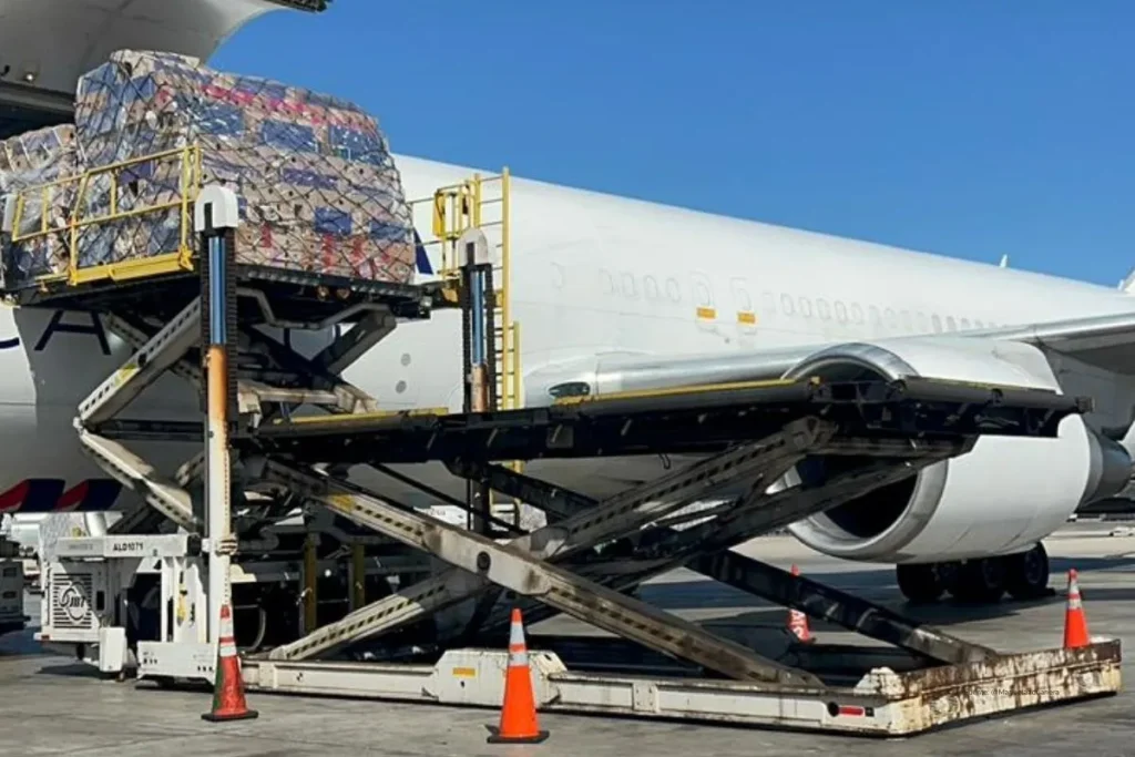 Exportaciones de flores de Colombia: “Es una carrera contra el tiempo y cualquier falla se paga caro”, advierte Manuela Aduanera 3 Carga aérea de flores colombianas en un aeropuerto internacional, preparada para su exportación a mercados externos.