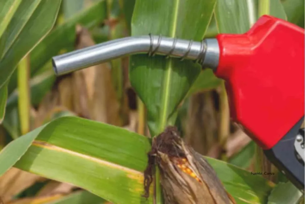 Crisis del etanol en Colombia: EE.UU. ya suministra el 51% y deja sin mercado la producción nacional 3 etanol