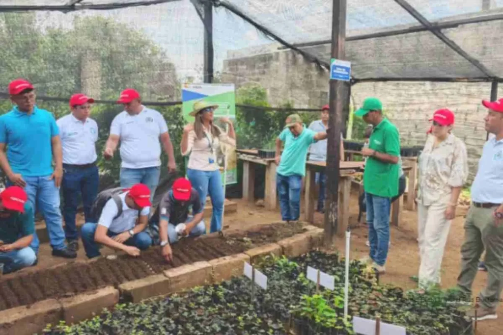 Día de la Mujer y la Niña en la Ciencia: el recorte que puede frenar a las investigadoras 3 Clara Viviana Rua Bustamante,
