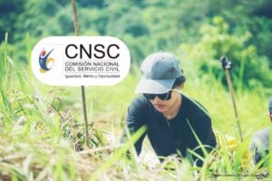convocatoria Entidades del Orden Territorial y UAPA, CNSC, persona que superó la convocatoria Entidades del Orden Territorial y UAPA, Más Colombia