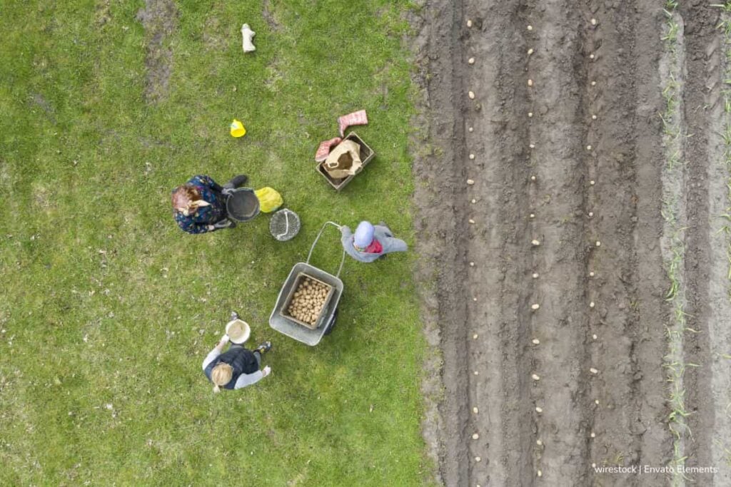 CNSC activa recaudo de la convocatoria Entidades del Orden Territorial y UAPA para ingreso: estos son los plazos y costos oficiales 3 convocatoria Entidades del Orden Territorial y UAPA, CNSC, personas trabajando para UAPA, Más Colombia